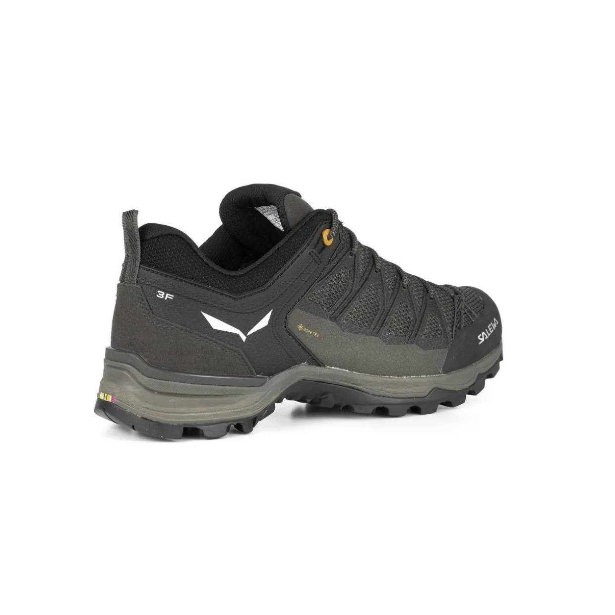 Mountain Trainer Lite GORE-TEX® Scarpe Uomo
