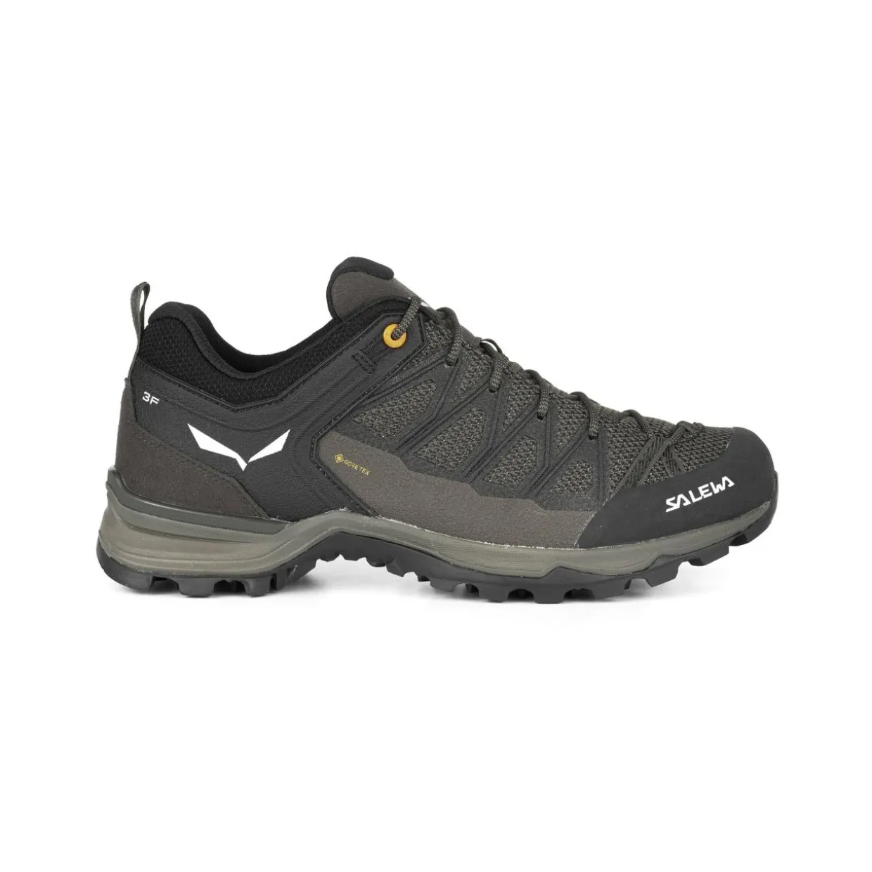 Mountain Trainer Lite GORE-TEX® Scarpe Uomo