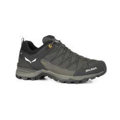 Mountain Trainer Lite GORE-TEX® Scarpe Uomo