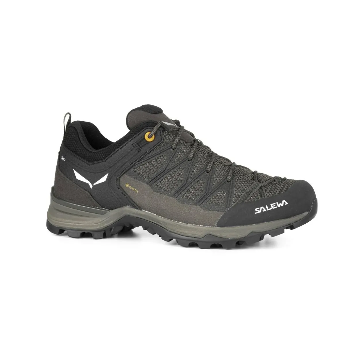 Mountain Trainer Lite GORE-TEX® Scarpe Uomo