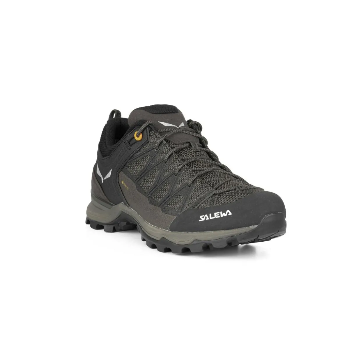Mountain Trainer Lite GORE-TEX® Scarpe Uomo