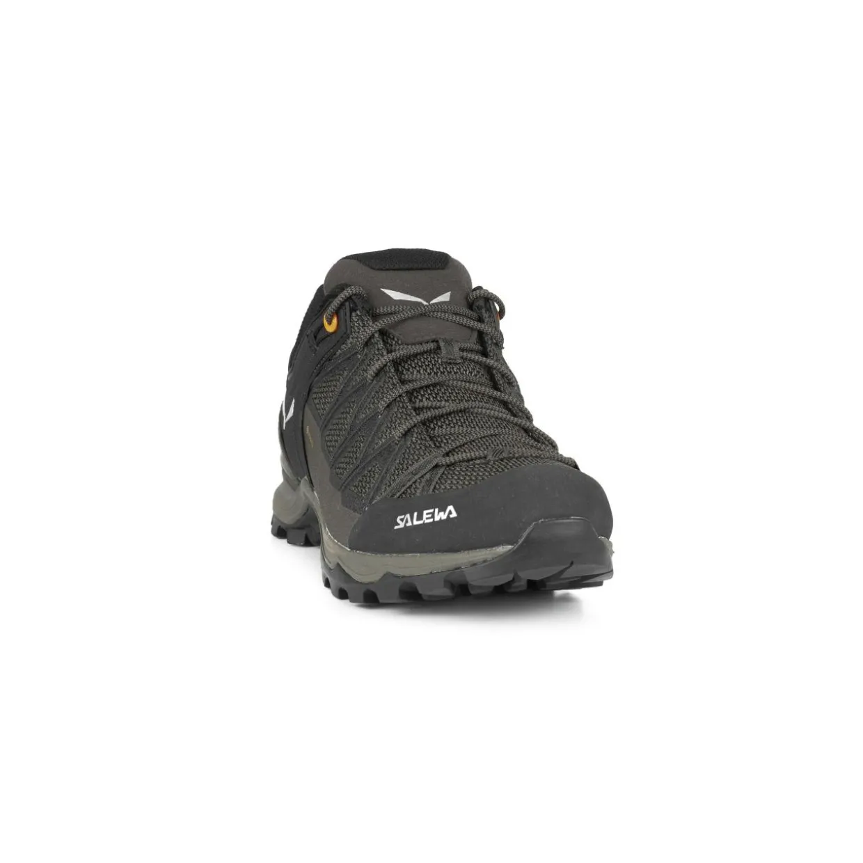 Mountain Trainer Lite GORE-TEX® Scarpe Uomo