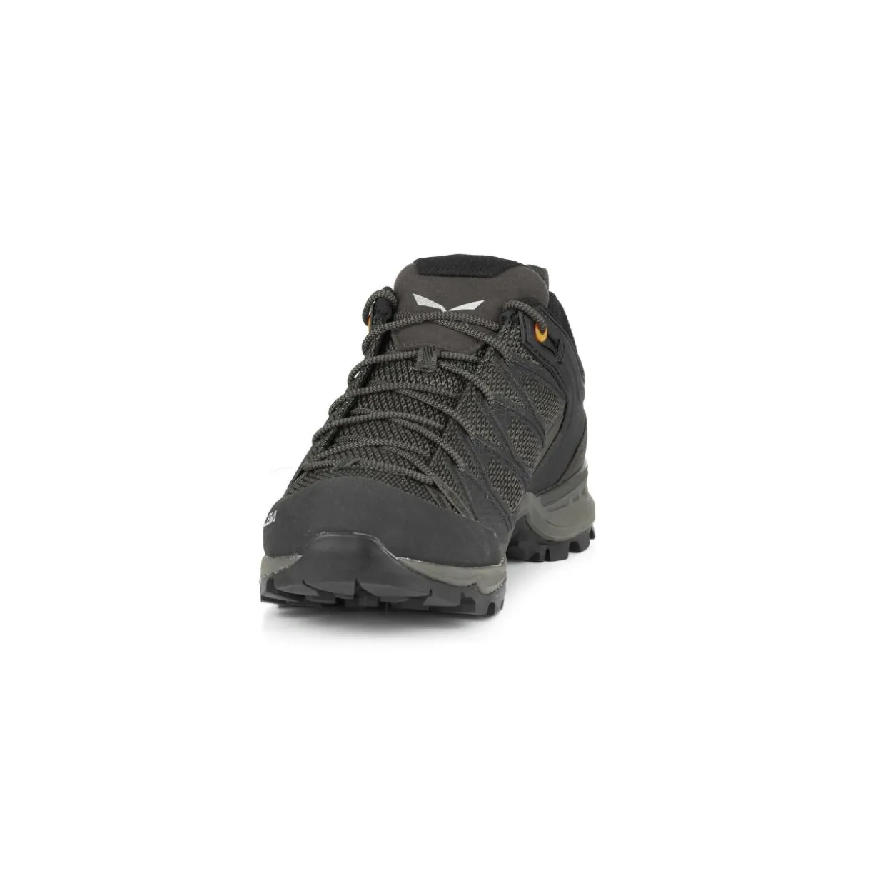 Mountain Trainer Lite GORE-TEX® Scarpe Uomo