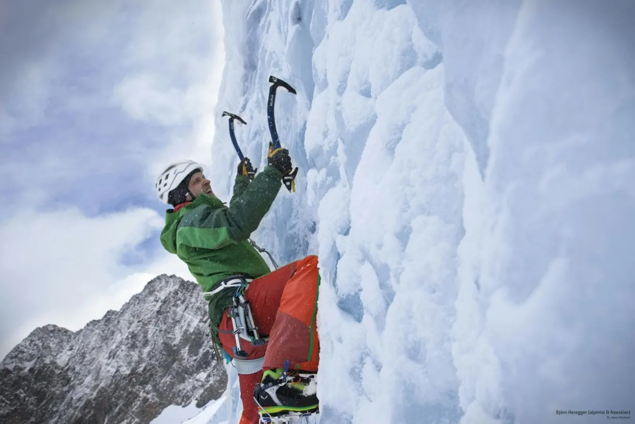 North-X Hammer Piccozza